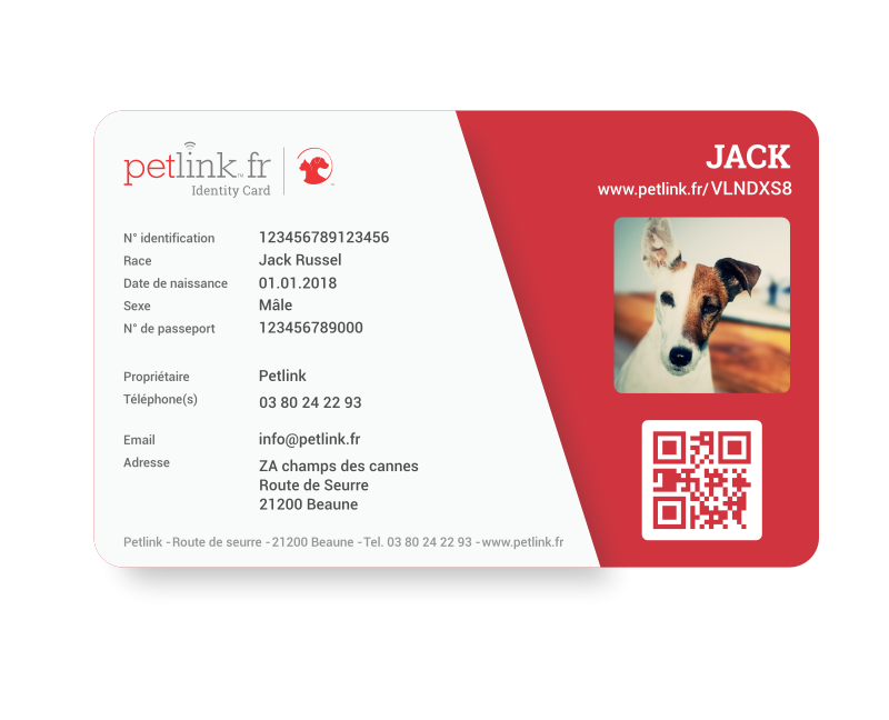 La PetID Card: Le Badge d&rsquo;Identité Ultime pour Votre Compagnon à Quatre Pattes!