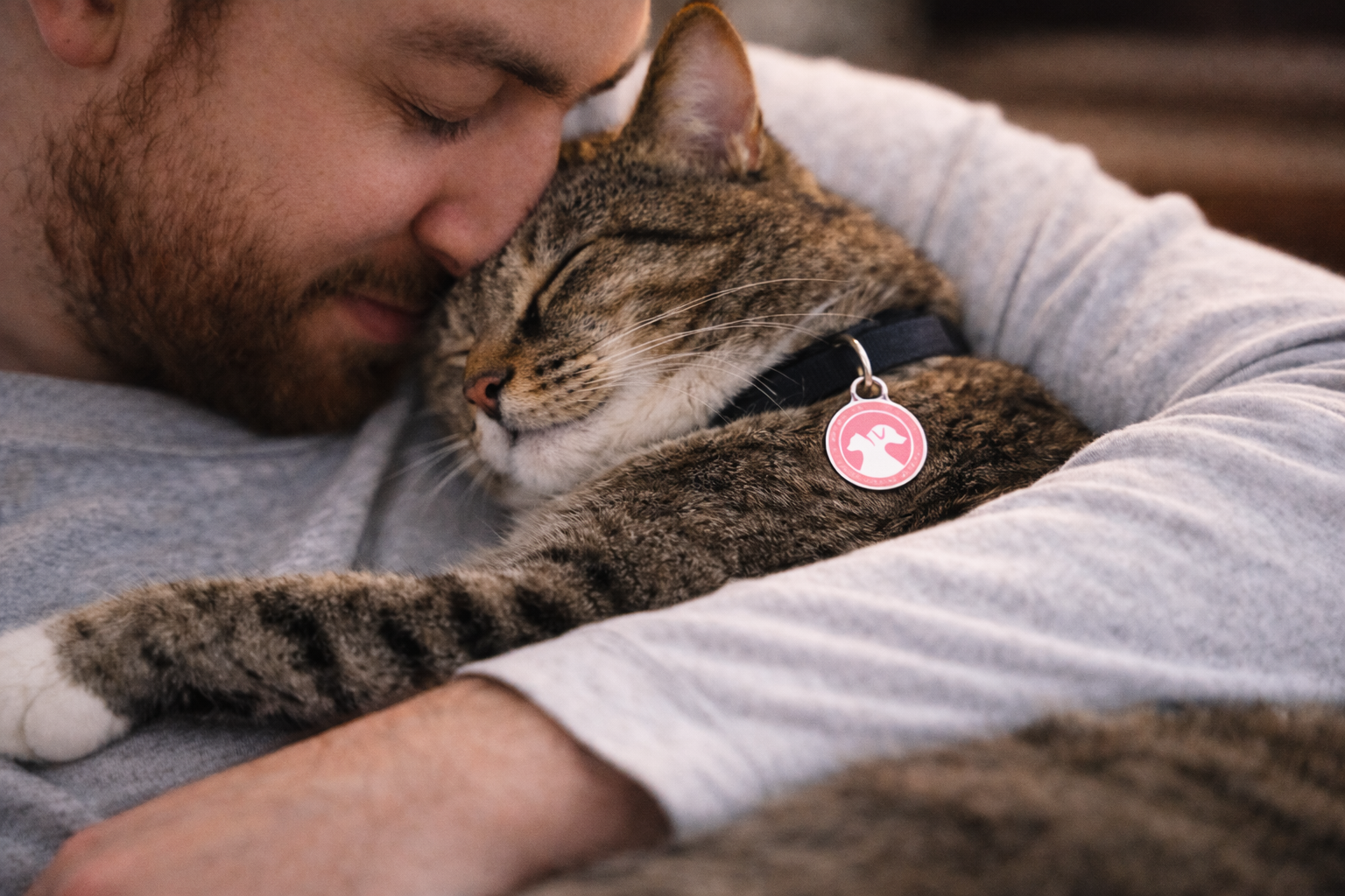 💘 Saint-Valentin : 5 signes que votre animal vous aime vraiment